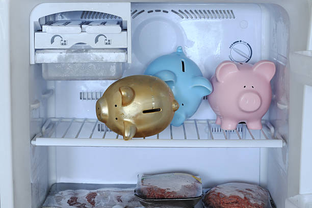 3 huchas de cerditos en el congelador