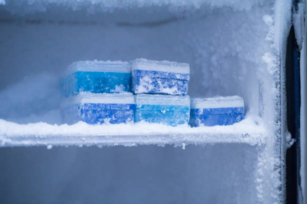 Permanentemente lila clímax Consejos para descongelar el congelador - Blog de La Casa Del  Electrodoméstico