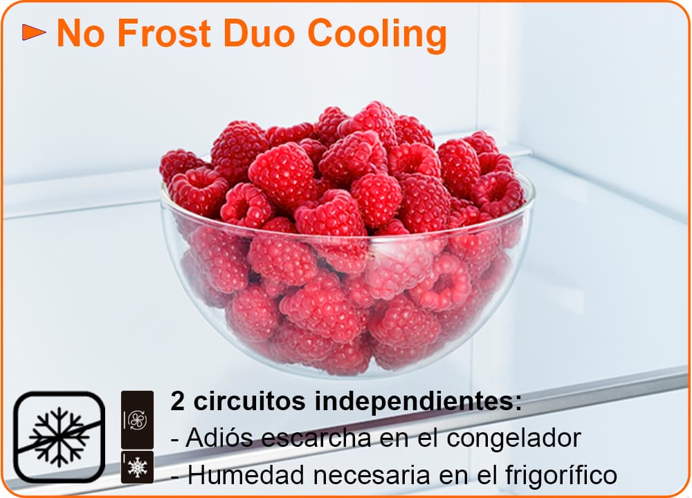 No Frost Duo-Cooling