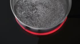 Zanussi ZES3921IBA - Placa Vitrocerámica 2 Zonas 29 cm Mandos Frontales