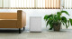 Cecotec 02308 - Mini frigorífico GrandCooler 10000 Silent White
