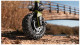 Cecotec 07032 - Patinete eléctrico Bongo Serie Z Off Road Green