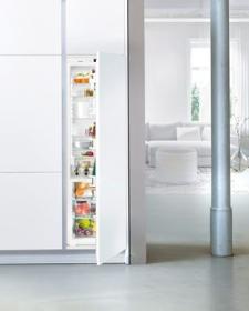 Liebherr IN IKBP-3560 - Frigorífico Integrado 1 puerta BioFresh Plus 177 x 56 cm D