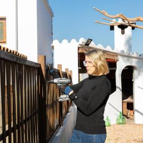 Cecoraptor perfect drill 2020 advance 4