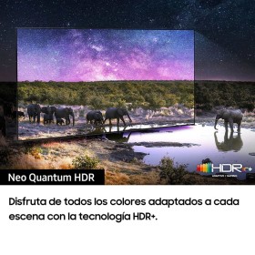 Samsung TV QN95C Neo QLED 163cm 65" Smart TV (2023)