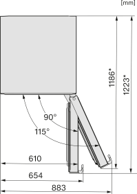 20000186366
