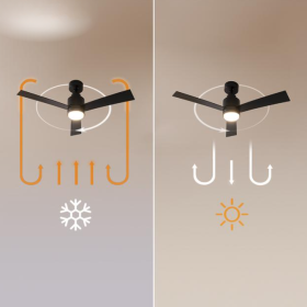 Captura de pantalla 2026 02 24 111143