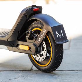 Bongo serie m20 wnctjq 14