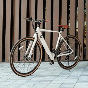 Bicicleta electrica sprint ve455i 3
