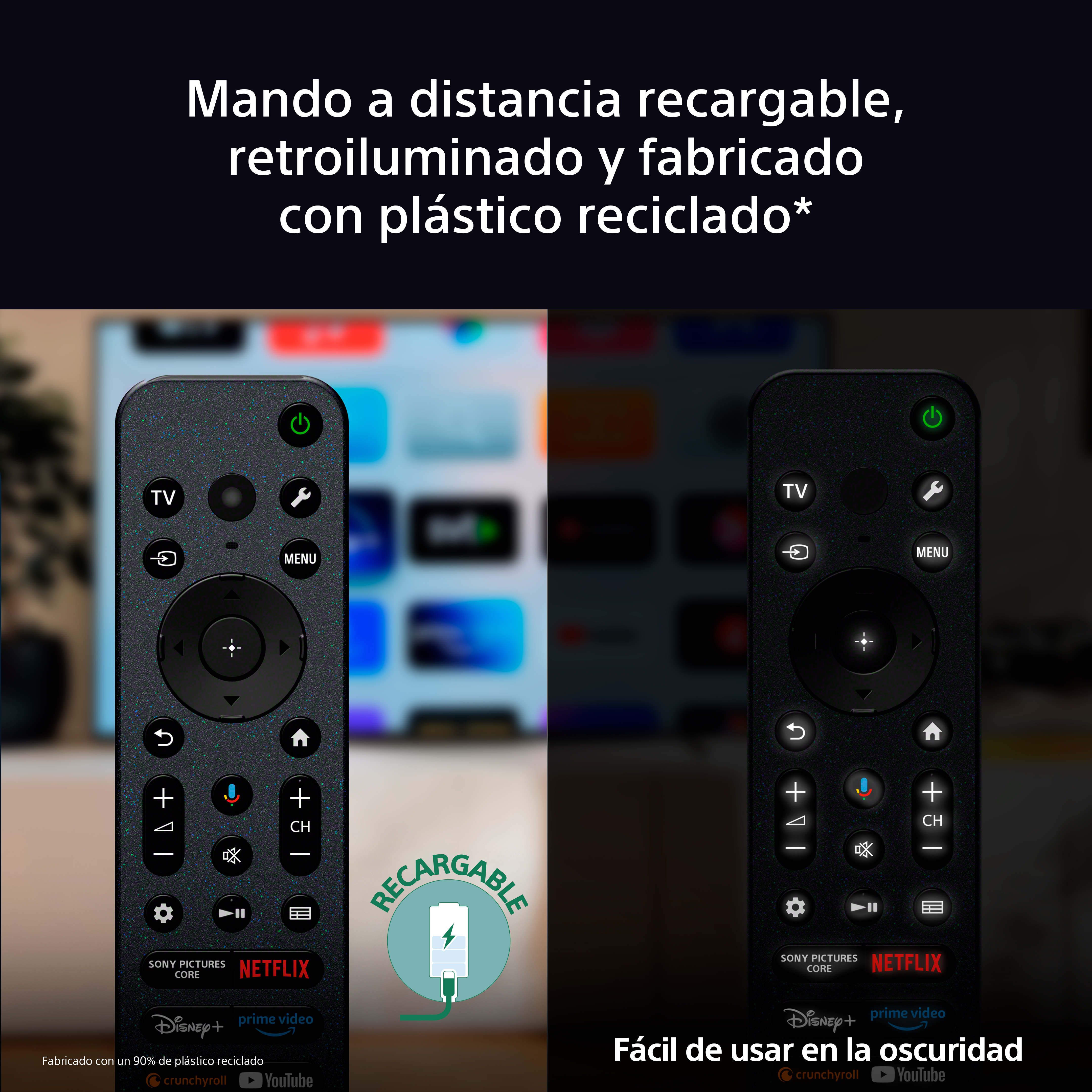 21 remote control es