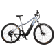 Bicicleta eléctrica Avanti