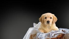 Hisense 329635342 b3984e8d6d43e982b1b18d8e65af2c3d 292566 2 min