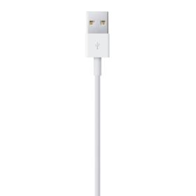 APPLE LIGHTNING TO USB CABLE 0.5M ME291ZM/A