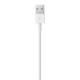 APPLE LIGHTNING TO USB CABLE 0.5M ME291ZM/A