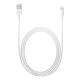 APPLE LIGHTNING TO USB CABLE 2M MD819ZM/A