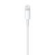 APPLE LIGHTNING TO USB CABLE 2M MD819ZM/A
