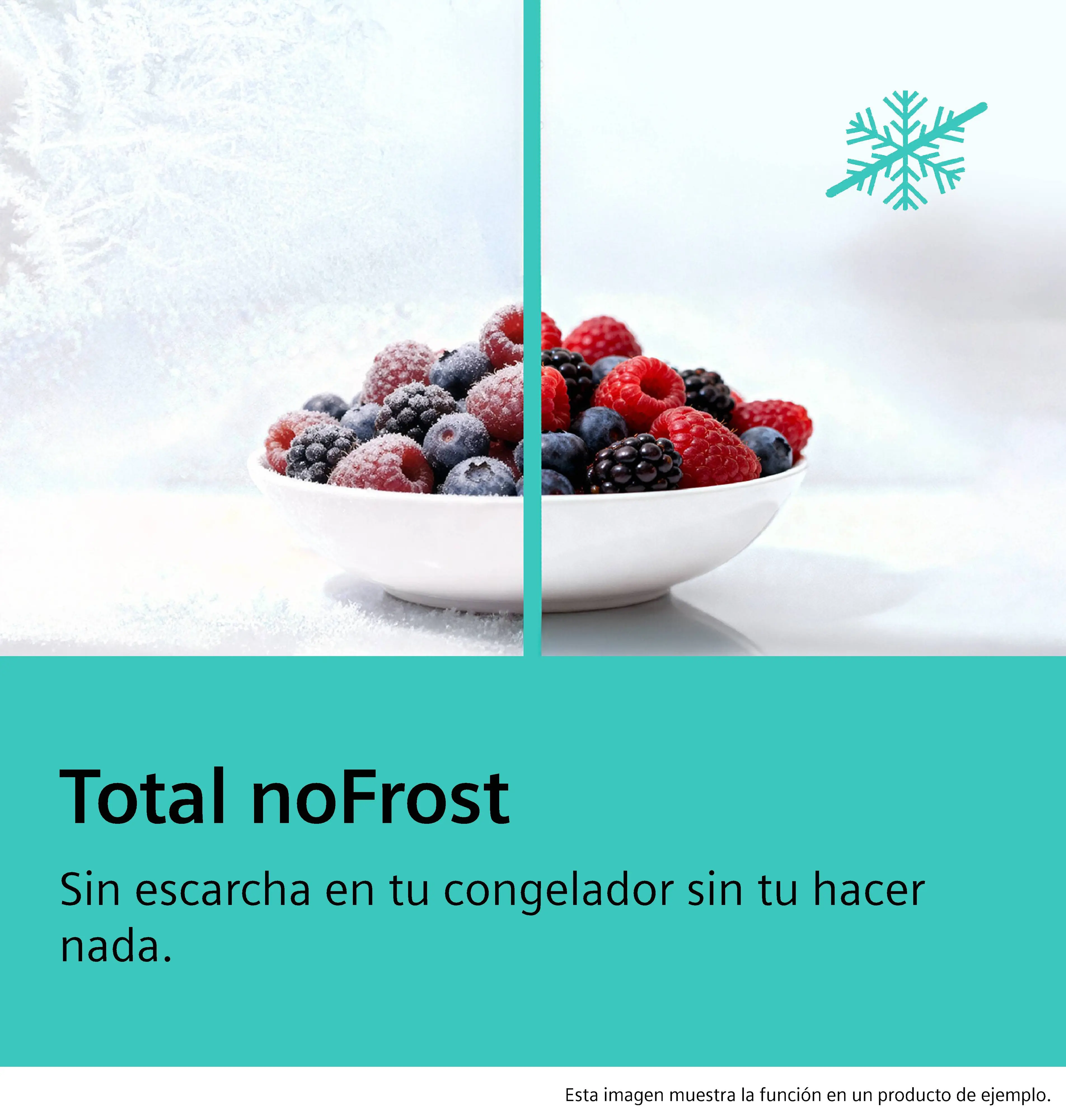 28206521 fhi se cl totalnofrostfreezeronly es es