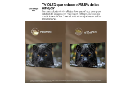Captura de pantalla 2026 05 25 083211