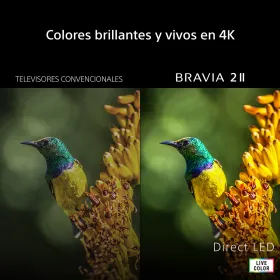 Www 001014842209406 01