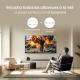 Samsung TQ65LS03HAUXXC - Televisor QLED The Frame 65" 4K UHD Smart TV Tizen Negro