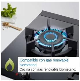 Bosch PPP6A6B20 - Placa de Gas Natural 60 Cm 4 Quemadores Negro