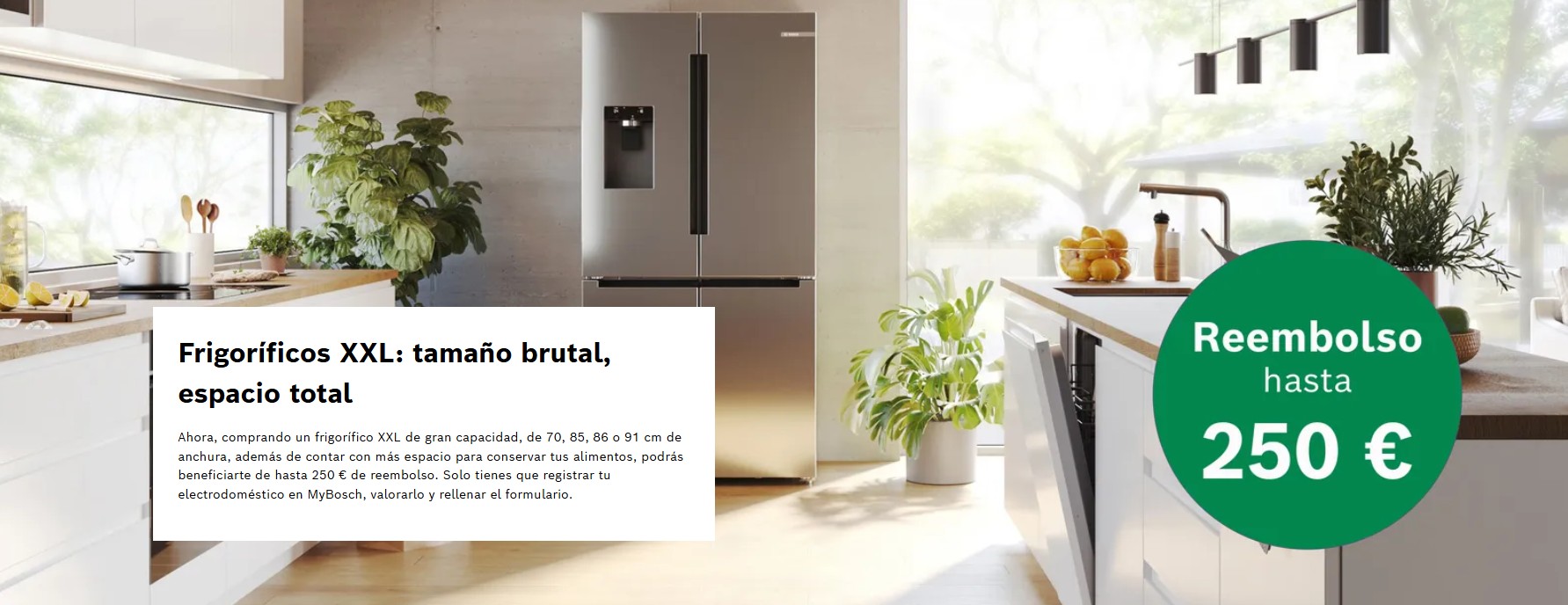 Promoboschxxl